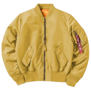 Bomberjacket (like the k-drama bloodhounds)